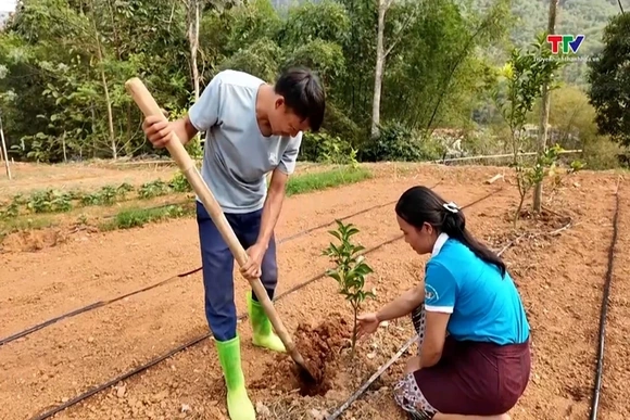Người gieo nông sản sạch nơi bản người Thái Chung Sơn