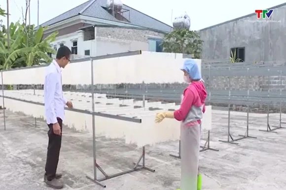 Chương trình OCOP thúc đẩy phát triển kinh tế nông thôn