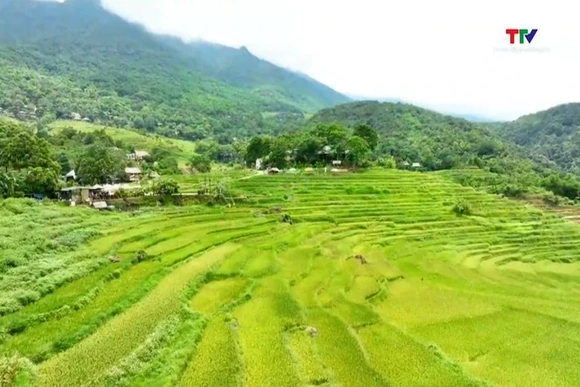 Vẻ đẹp hoang sơ của Khu bảo tồn thiên nhiên Pù Luông