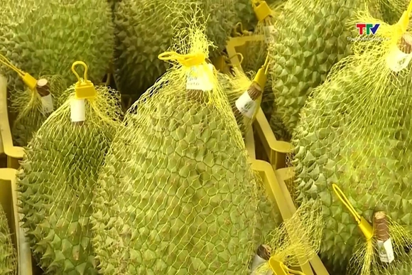 Sầu riêng giảm giá mạnh