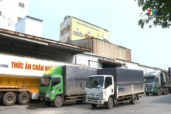 Doanh nghiệp linh hoạt sản xuất, giữ vững thị trường