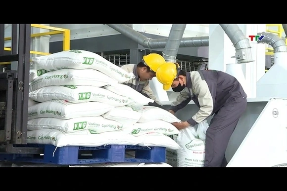 Đề xuất bãi bỏ giấy phép kinh doanh xuất khẩu gạo