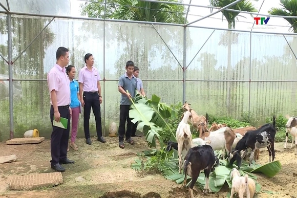 Tín dụng chính sách tạo việc làm, nâng cao thu nhập cho người dân