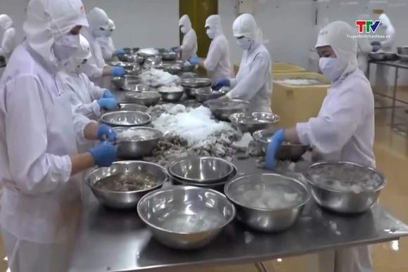 Hoa Kỳ tăng cảnh báo sở hữu trí tuệ với doanh nghiệp xuất khẩu thủy sản