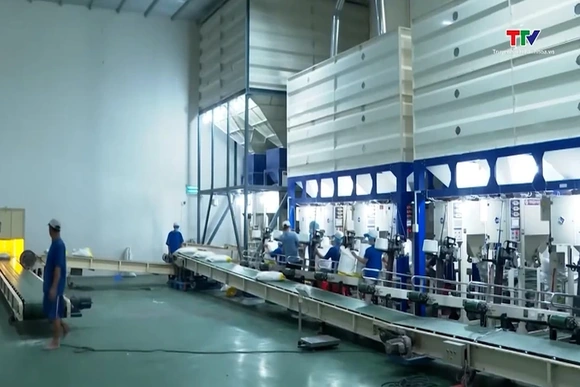 Bỏ giấy phép xuất khẩu gạo - Mở cửa thị trường nhưng cần giữ chuẩn