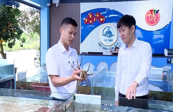 Du lịch vào mùa, thị trường hải sản sôi động