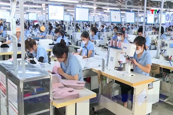 Thích ứng để giữ thị trường xuất khẩu