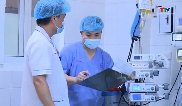 Cảnh báo mùa rắn sinh sản - nguy cơ rắn độc cắn gia tăng