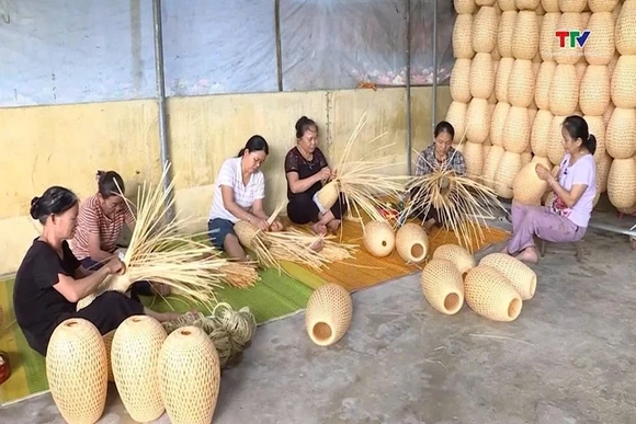 39 hợp tác xã được cấp giấy chứng nhận quyền sử dụng đất
