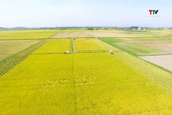 Ứng dụng công nghệ nâng cao giá trị nông nghiệp hữu cơ