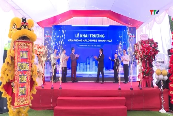 Khai trương Văn phòng Halotimes Thanh Hoá