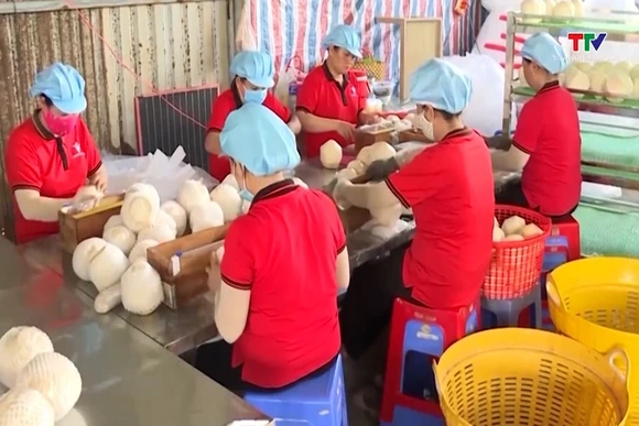 Trong 4 tháng đầu năm 2026, xuất khẩu rau quả cả nước tăng trưởng 22%