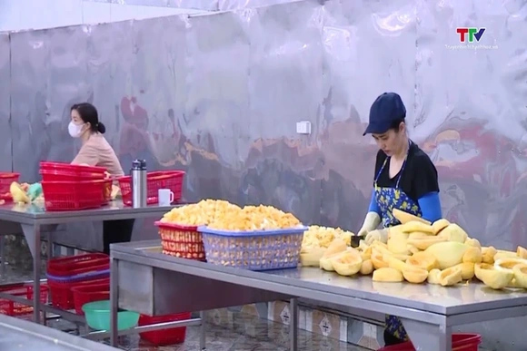 Phấn đấu xuất khẩu nông lâm thủy sản vượt mốc 73 tỷ USD