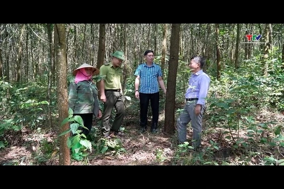 Điều chỉnh Quy hoạch lâm nghiệp quốc gia phải hoàn thành trong Quý II năm 2026