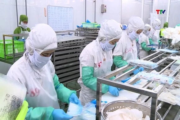Thanh Hóa có 6 doanh nghiệp xuất khẩu thủy sản chính ngạch