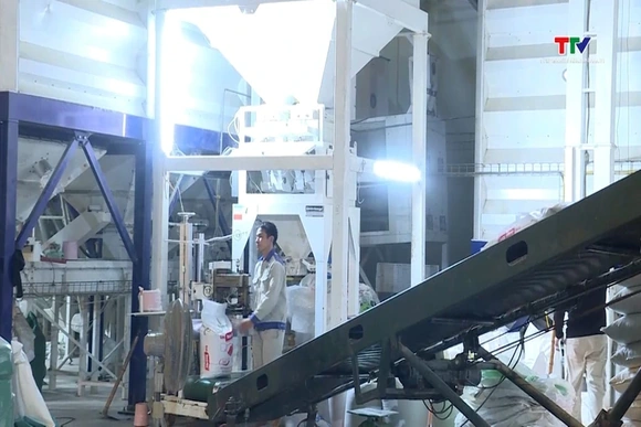 Gạo Việt Nam tăng giá trên thị trường thế giới