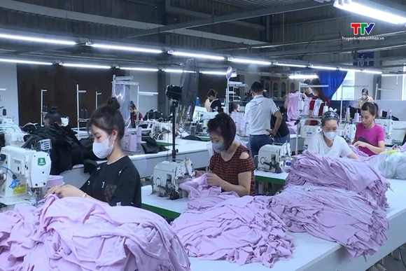 Thích ứng để giữ thị trường xuất khẩu