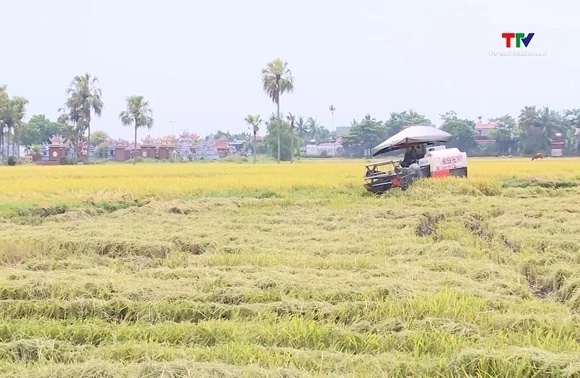 Đẩy nhanh thu hoạch vụ Xuân, chủ động sản xuất vụ Mùa