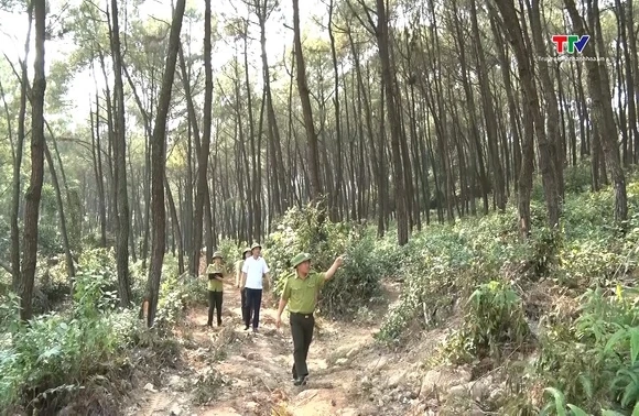 Chủ động phòng chống cháy rừng