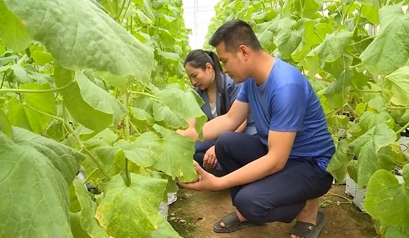 Đẩy nhanh tiến độ triển khai các chương trình mục tiêu quốc gia giai đoạn 2026 - 2030