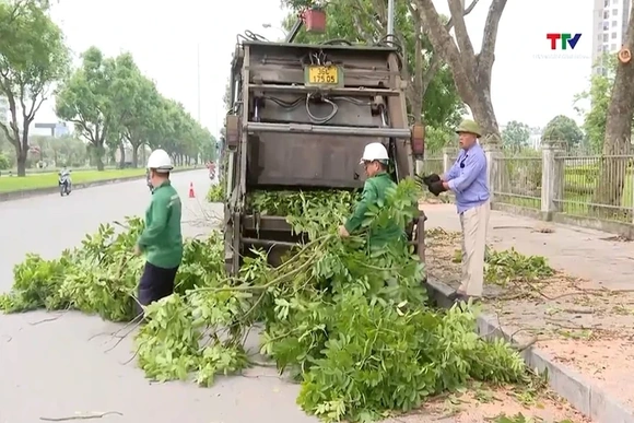 Phường Hạc Thành cắt tỉa cây xanh trước mùa mưa bão