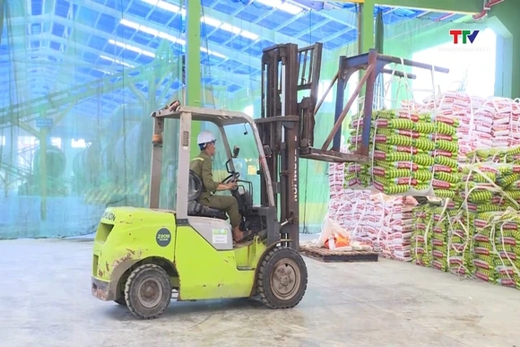 37,38% doanh nghiệp Thanh Hóa dự kiến mở rộng sản xuất, kinh doanh trong 2 năm tới