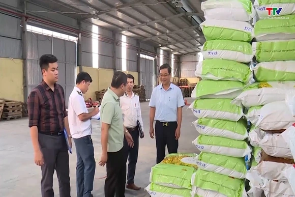Đảm bảo nguồn giống phục vụ sản xuất vụ Thu Mùa