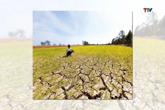 El Nino mạnh hơn dự báo, đề phòng các hình thái thiên tai nguy hiểm