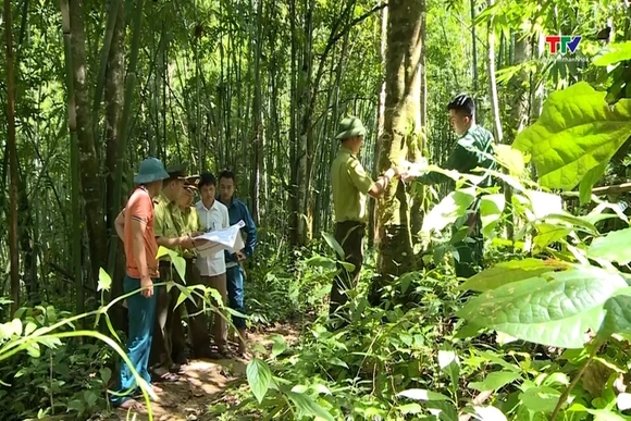 Nguồn thu carbon toàn cầu 107 tỷ USD trong năm 2025