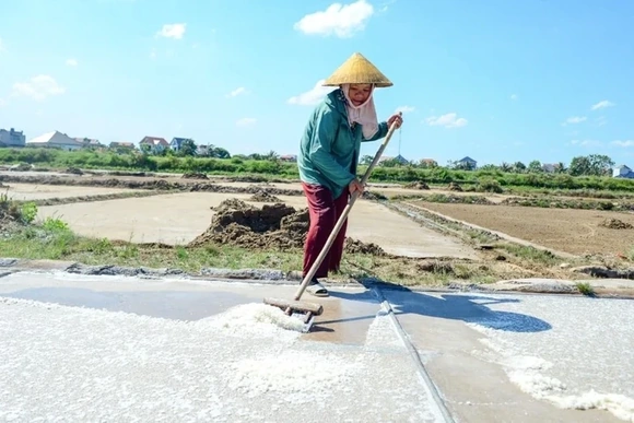 Nắng nung mặt ruộng, diêm dân vẫn bám nghề