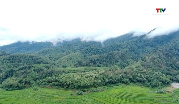 Màu xanh trên non Phú Lệ