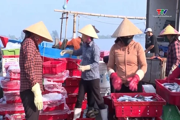 Sản lượng thủy sản đạt hơn 74.880 tấn