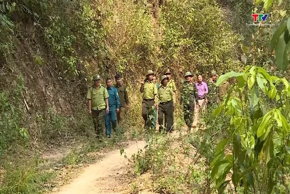 Tăng cường quản lý, bảo vệ rừng khu vực biên giới