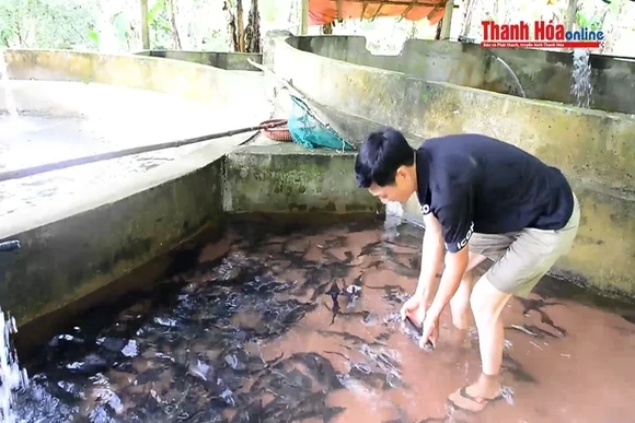 Người đàn ông chi tiền tỷ dẫn nước từ đỉnh Pù Rinh nuôi cá tầm