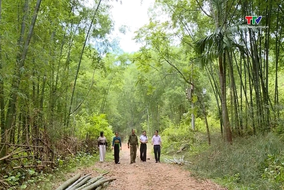 Màu xanh trên non Phú Lệ