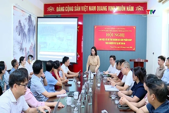 Hỗ trợ quảng bá, giới thiệu các sản phẩm OCOP