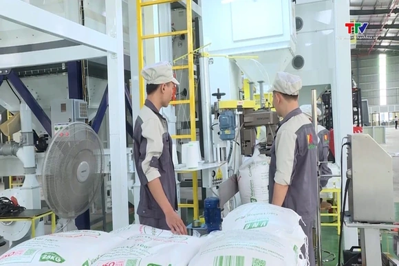 Thúc đẩy xuất khẩu gạo theo hướng bền vững