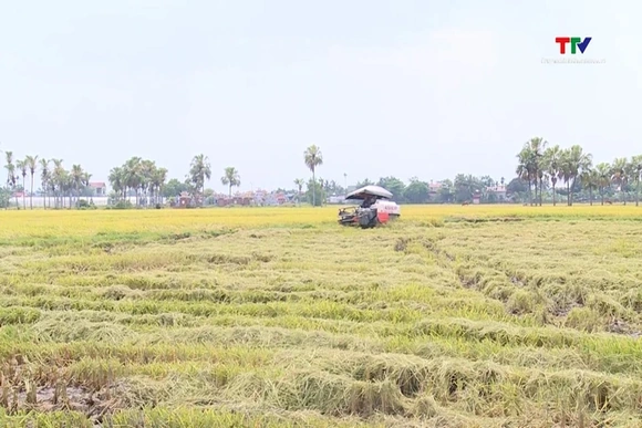 14.000 đến 15.000 ha có nguy cơ thiếu nước, hạn hán, xâm nhập mặn
