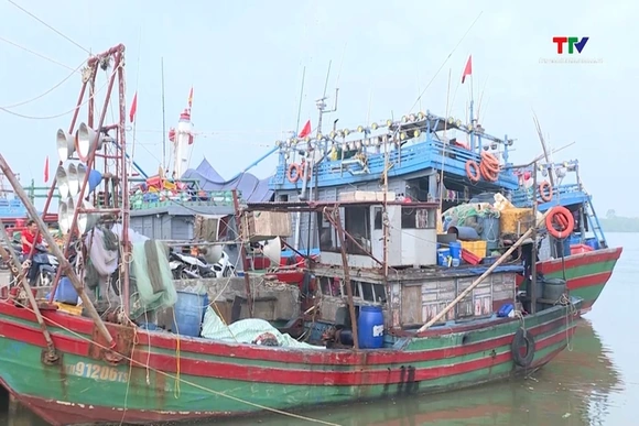 Sản lượng thủy sản đạt hơn 74.880 tấn