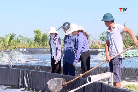 Chủ động bảo vệ thủy sản nuôi trước nắng nóng