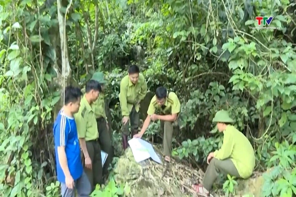 Tăng cường quản lý, bảo vệ rừng khu vực biên giới