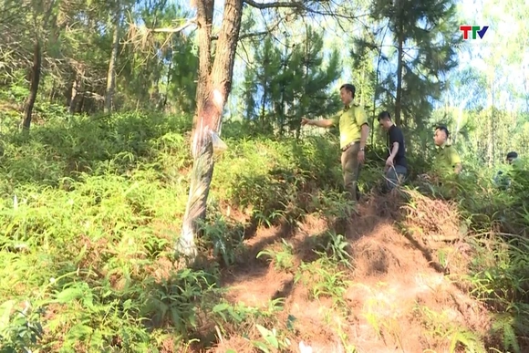 Kiểm tra nghiêm ngặt, đảm bảo phòng chống cháy rừng tại các khu du lịch biển
