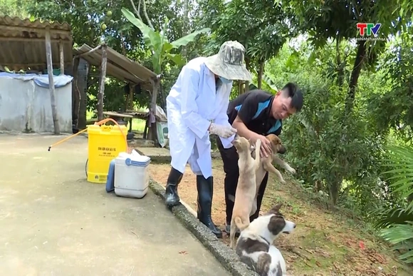 Tăng cường phòng, chống bệnh dại trên động vật