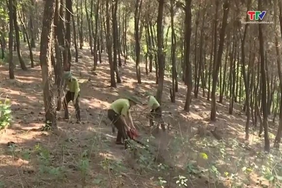 Chủ động phòng, chống cháy rừng trong cao điểm nắng nóng