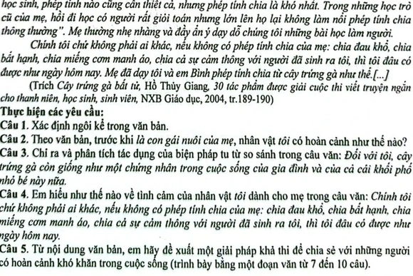 Đề thi môn Ngữ Văn vào lớp 10 năm học 2026 - 2027 gây chú ý với hình ảnh “phép tính chia của mẹ”
