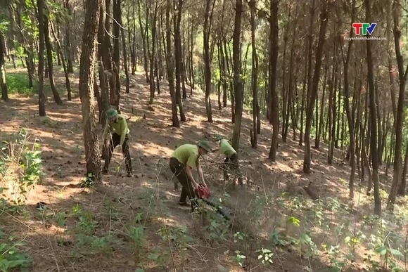 Triển khai đồng bộ các giải pháp phòng chống cháy rừng