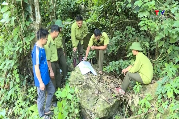 Chủ động phòng, chống cháy rừng trong cao điểm nắng nóng