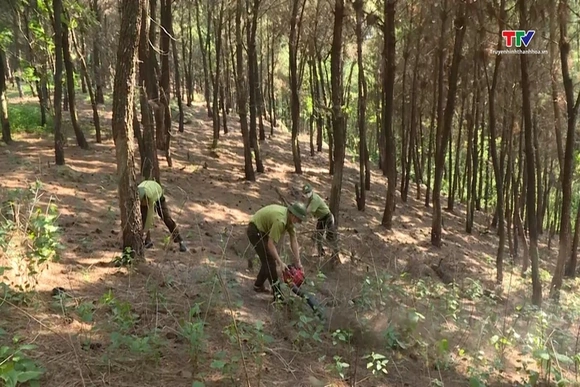 Triển khai đồng bộ các giải pháp phòng chống cháy rừng