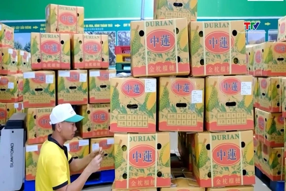Thị trường Halal mở dư địa tăng trưởng cho hàng Việt