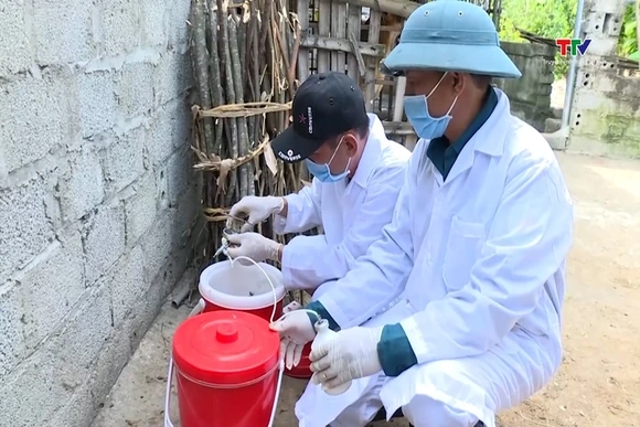 Chủ động phòng, chống các bệnh nguy hiểm trên đàn vật nuôi